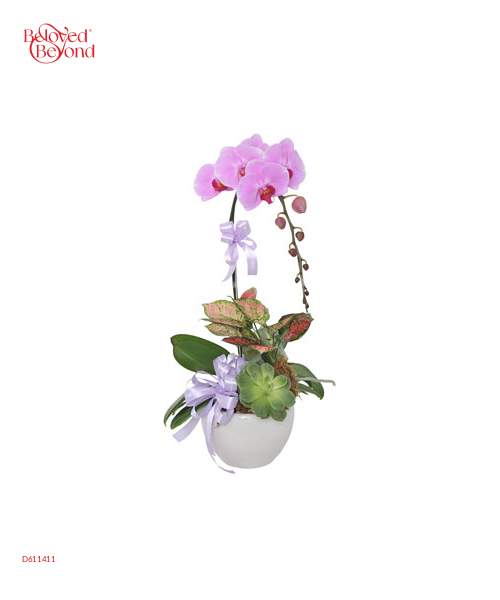 Vạn Sự Như Ý - belovedbeyond.com