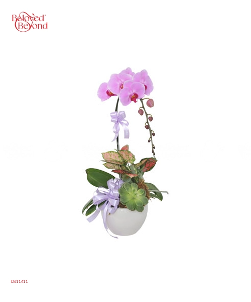 Vạn Sự Như Ý - belovedbeyond.com