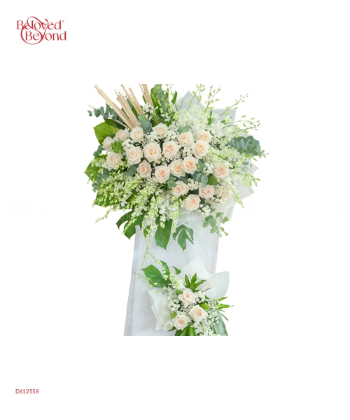 Hợp Tan - belovedbeyond.com