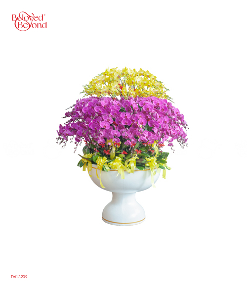 Xuân Thịnh Vượng - belovedbeyond.com