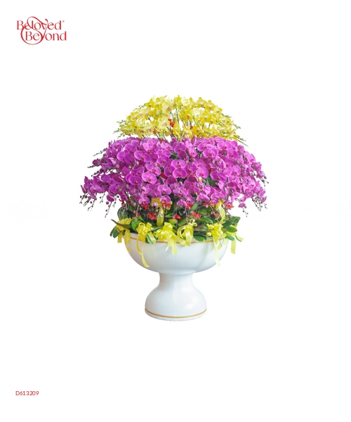 Xuân Thịnh Vượng - belovedbeyond.com