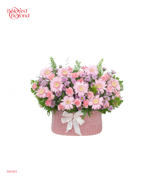 Tuổi Hồng - belovedbeyond.com