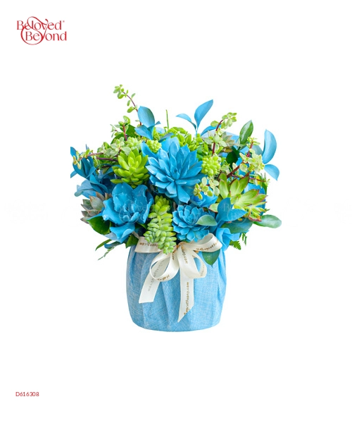 Bonjour - belovedbeyond.com
