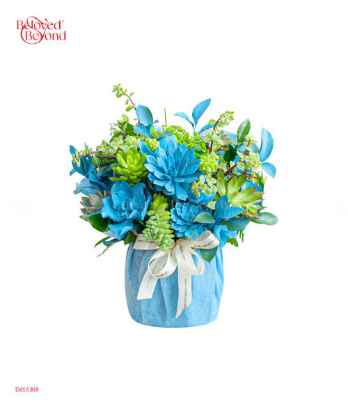 Bonjour - belovedbeyond.com