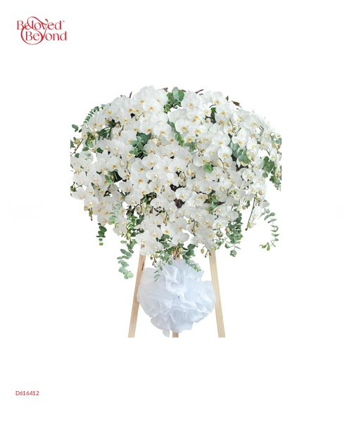 An Yên - belovedbeyond.com