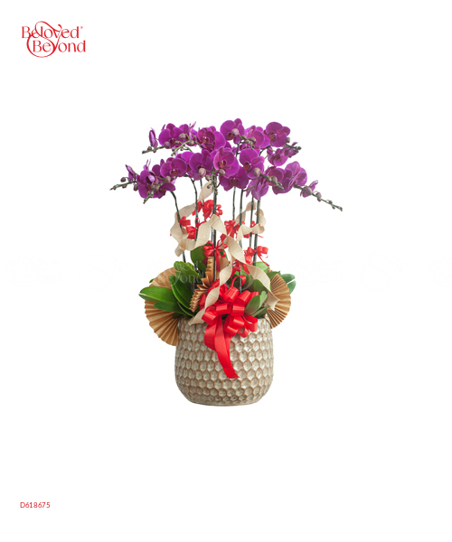 Hồ Điệp Tím 2 - belovedbeyond.com