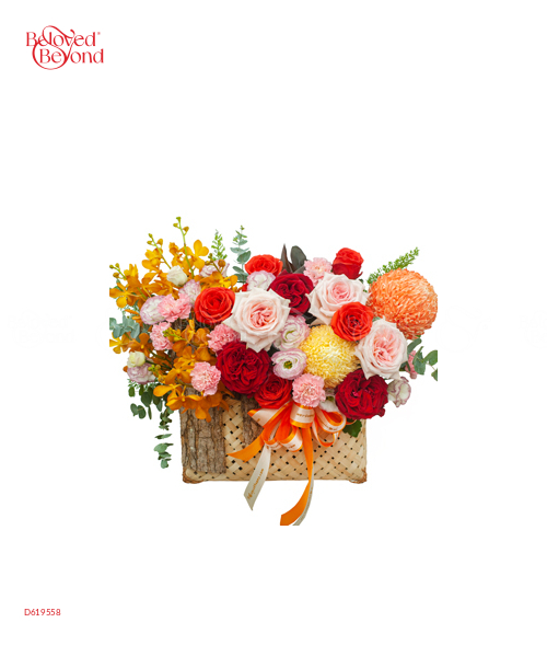 Vẹn Tròn - belovedbeyond.com