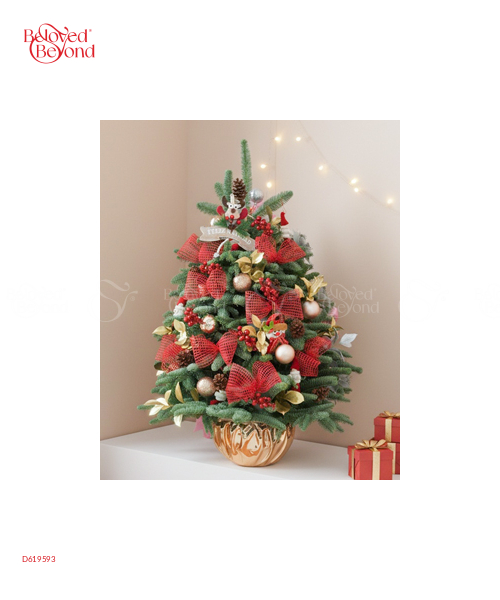 Thông Tươi Noel 80Cm 05 - belovedbeyond.com