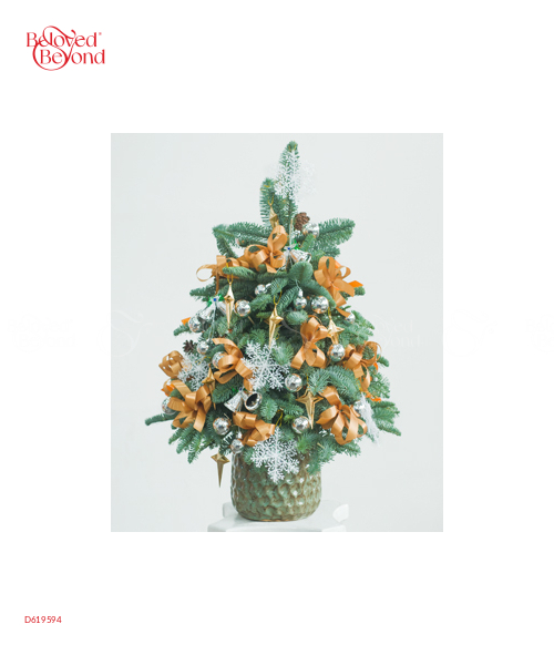 Thông Tươi Noel 80Cm 08 - belovedbeyond.com