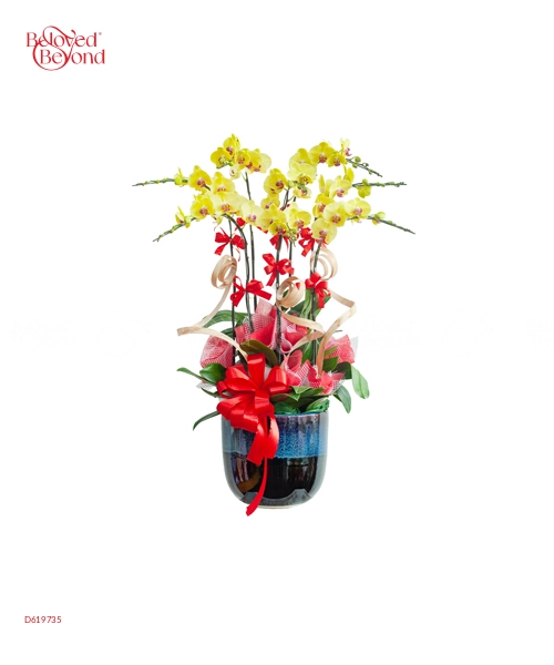 Hồ Điệp Vàng 3 - belovedbeyond.com