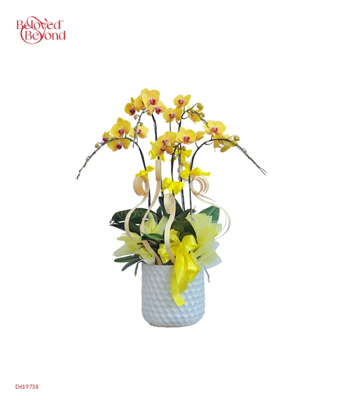 Hồ Điệp Tím 1 - belovedbeyond.com