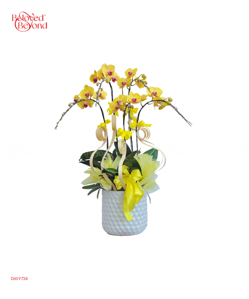 Hồ Điệp Tím 1 - belovedbeyond.com