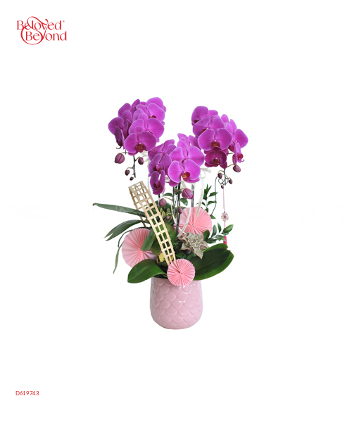 Hồ Điệp Tím 3 - belovedbeyond.com