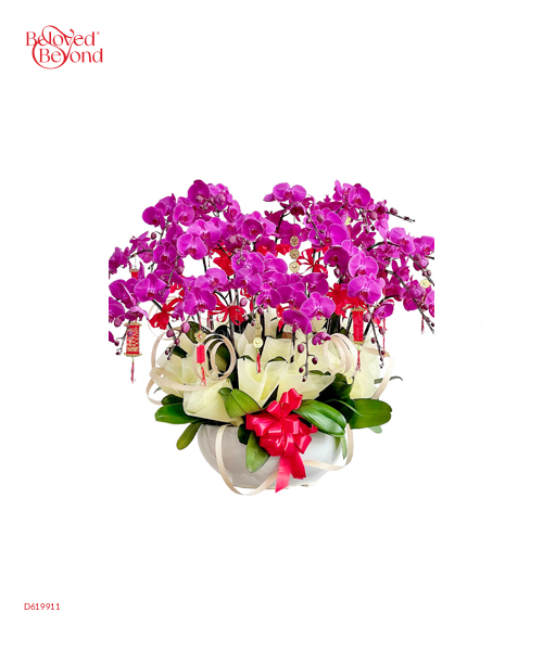 Chậu Hồ Điệp Tím 20 Cành - belovedbeyond.com