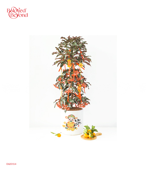 Kim Ngân Lượng Trụ 22 - belovedbeyond.com