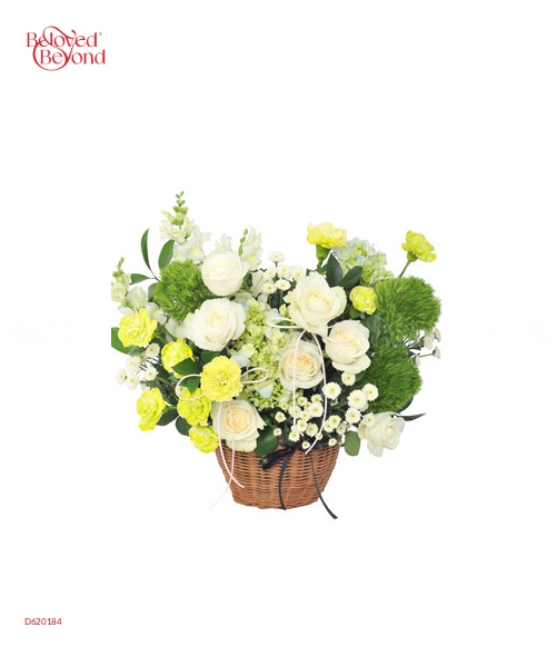 Xuân An Khang - belovedbeyond.com