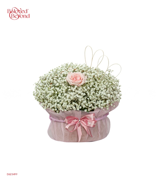 Baby Anh Yêu Em - belovedbeyond.com