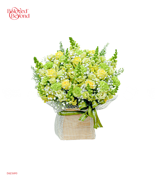 Bản Tình Ca Mùa Đông - belovedbeyond.com
