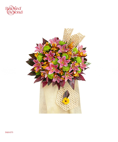 Sự Khởi Đầu - belovedbeyond.com