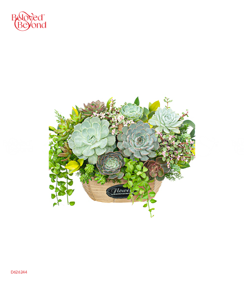 Hoa Sen Đá 7 - belovedbeyond.com