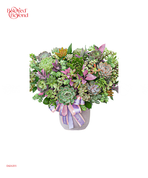 Hoa Sen Đá 18 - belovedbeyond.com