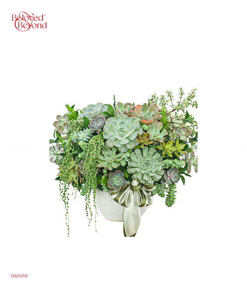 Hoa Sen Đá 15 - belovedbeyond.com