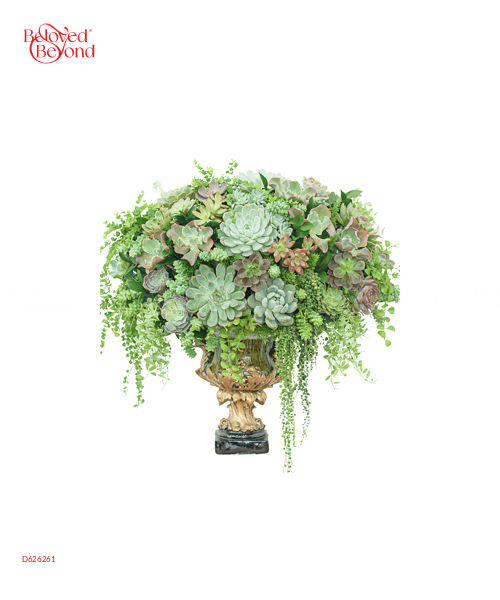 Hoa Sen Đá 12 - belovedbeyond.com
