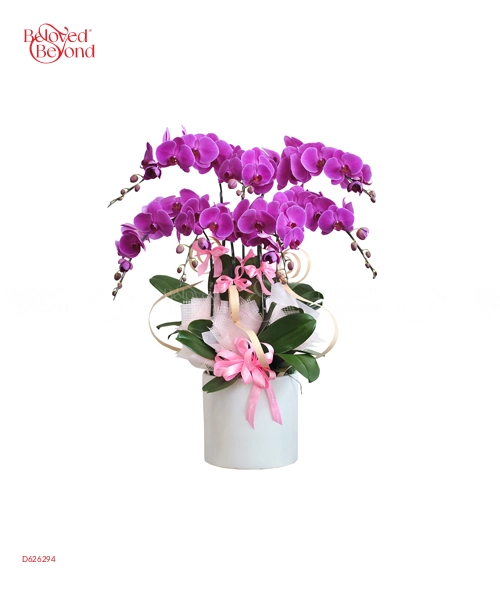 Hồ Điệp Tím 8 Cành - belovedbeyond.com