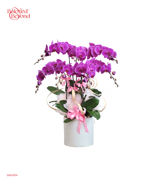 Hồ Điệp Tím 8 Cành - belovedbeyond.com
