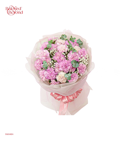 Bó Hoa Cẩm Chướng Tím - belovedbeyond.com
