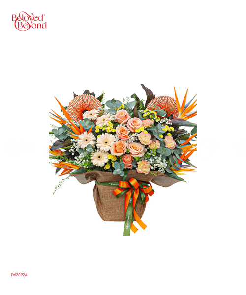 Thắp Sáng - belovedbeyond.com