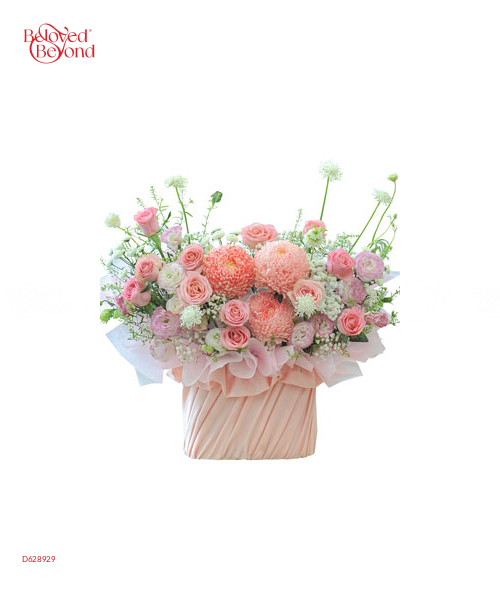 Ước Mơ Bay Cao - belovedbeyond.com
