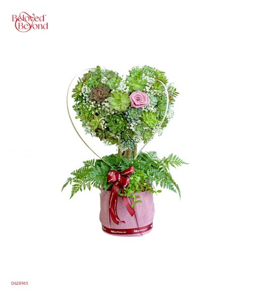 Mộc Mạc 2 - belovedbeyond.com