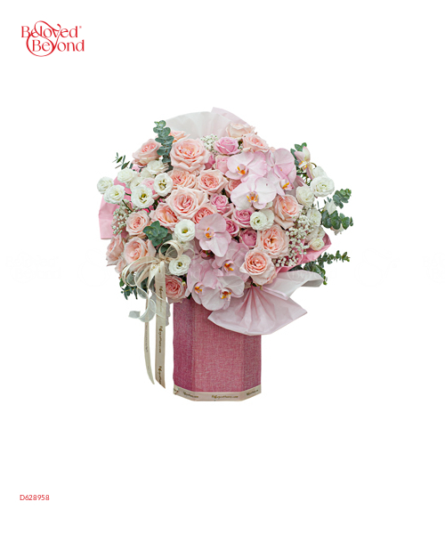 Lightly 2 - belovedbeyond.com