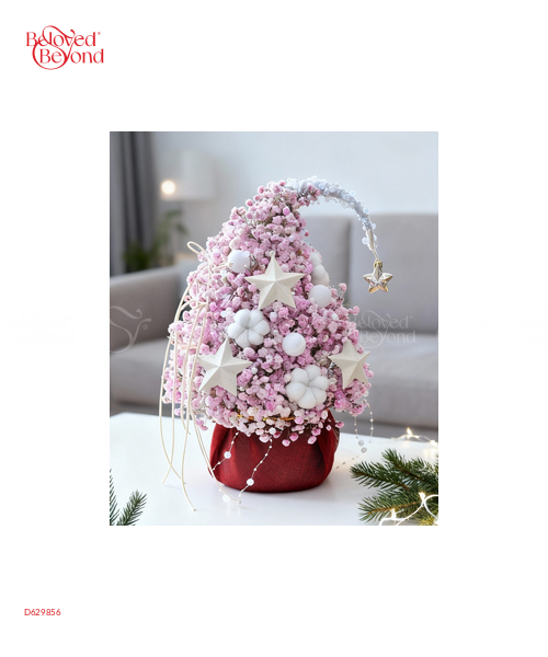 Cây Thông Sen Đá 2 - belovedbeyond.com