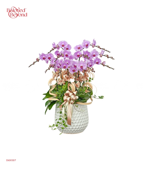 Vạn Sự Cát Tường 2 - belovedbeyond.com