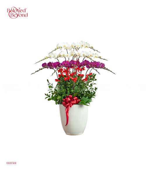 Chậu Hồ Điệp 15 Cành 01 - belovedbeyond.com