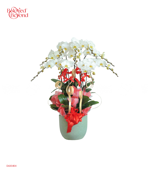 Vạn Điều May Mắn - belovedbeyond.com