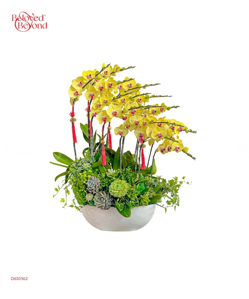 Hồ Điệp Vàng Đón Tết - belovedbeyond.com