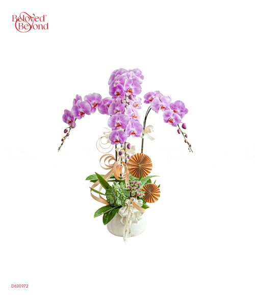 Tứ Sắc - belovedbeyond.com