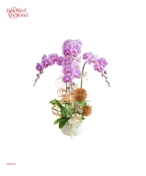 Tứ Sắc - belovedbeyond.com