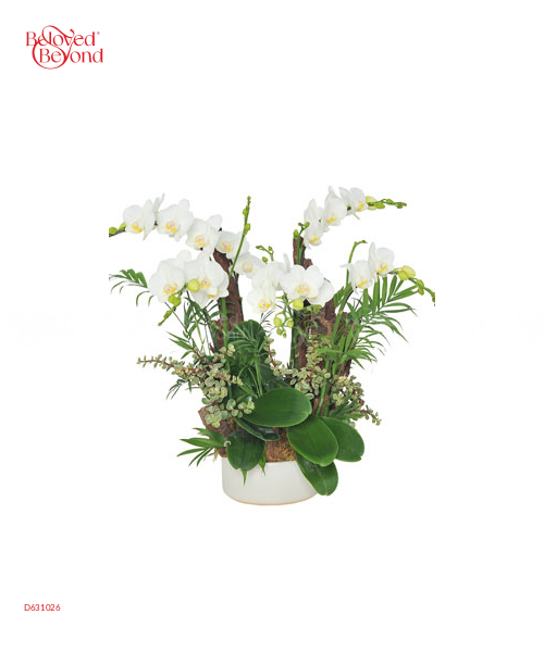 Thanh Lịch - belovedbeyond.com