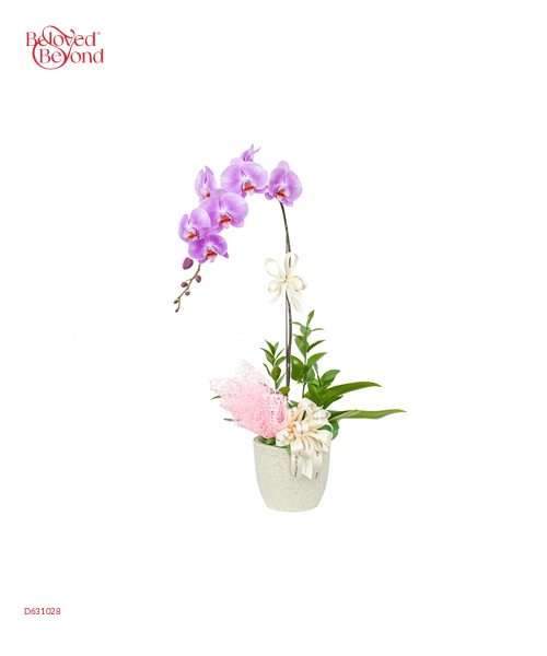 Thanh Nhã - belovedbeyond.com