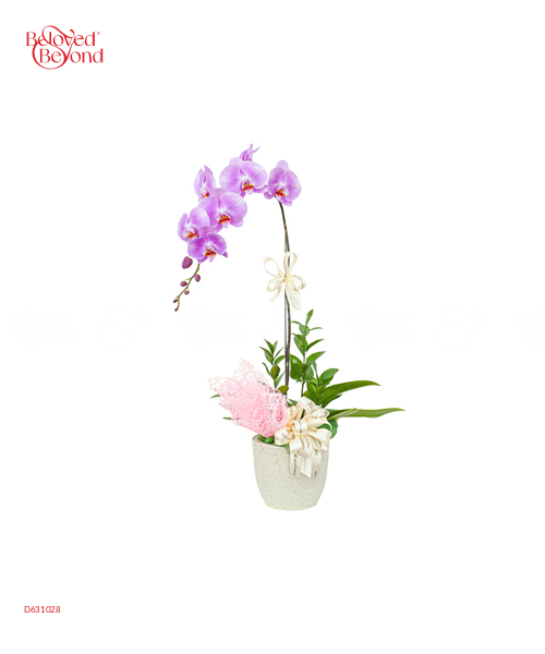 Thanh Nhã - belovedbeyond.com