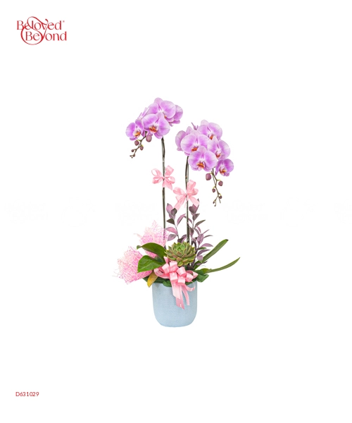 Pretty - belovedbeyond.com