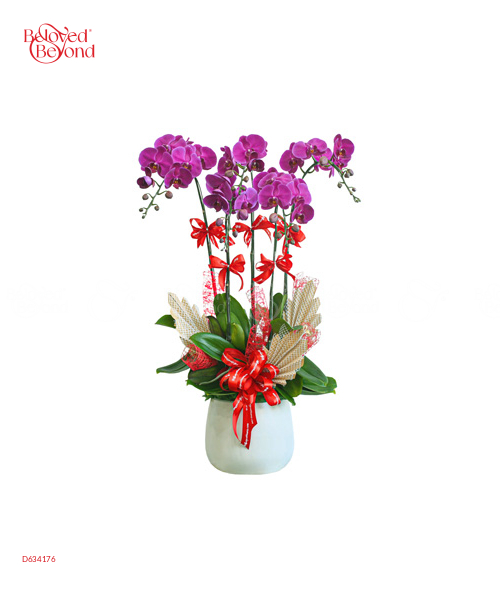Hồ Điệp Tím 5 Cành - belovedbeyond.com