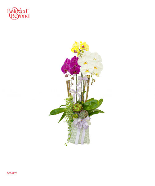 Hội Ngộ - belovedbeyond.com