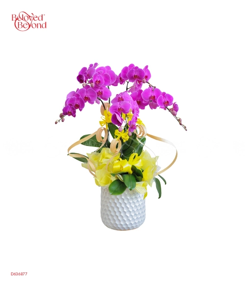 Mùa Xuân Đến - belovedbeyond.com