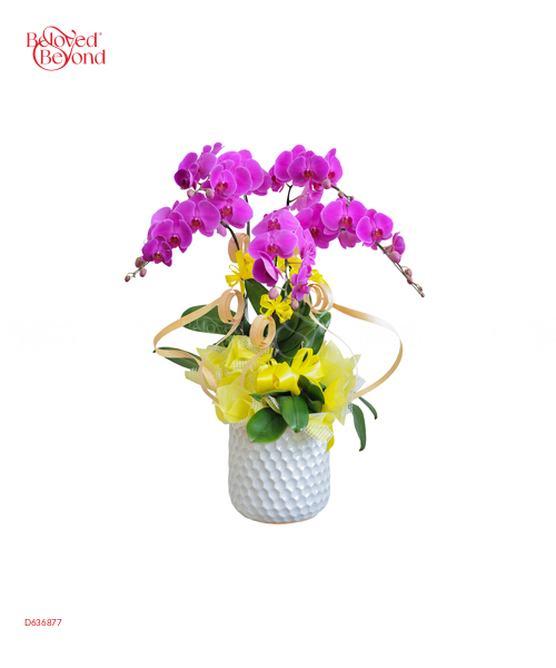 Mùa Xuân Đến - belovedbeyond.com