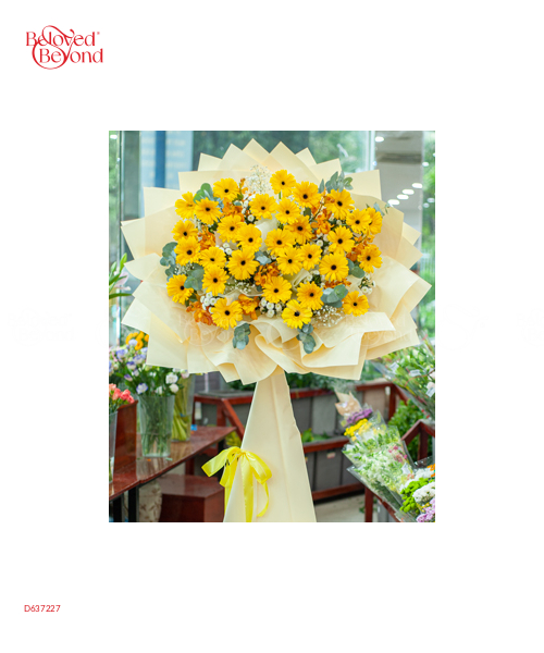Con Đường Rực Rỡ - belovedbeyond.com